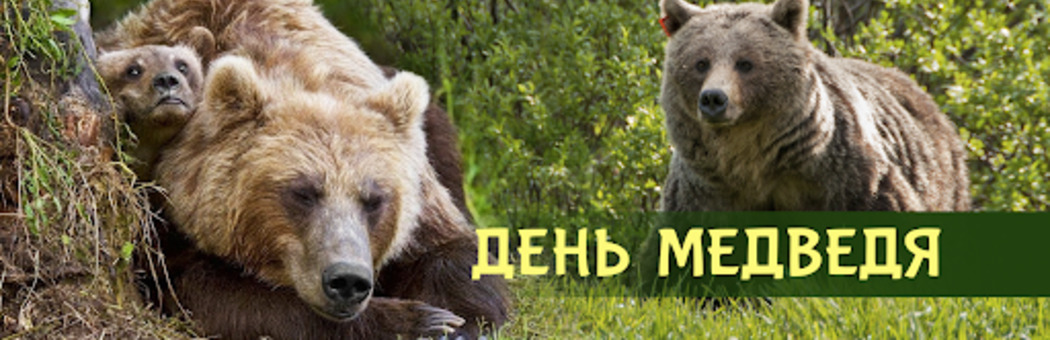 Хозяин леса
